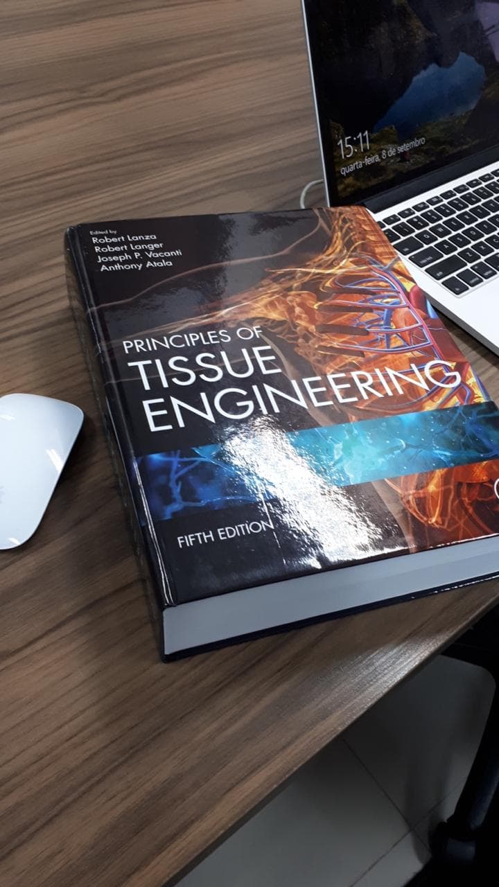 Imagem da transformação em Tubanharon Innovation Systems